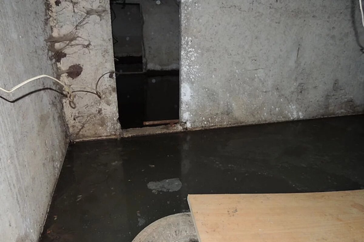    В Прикамье УК 2 года не хотела чистить подвал дома от мусора и нечистот