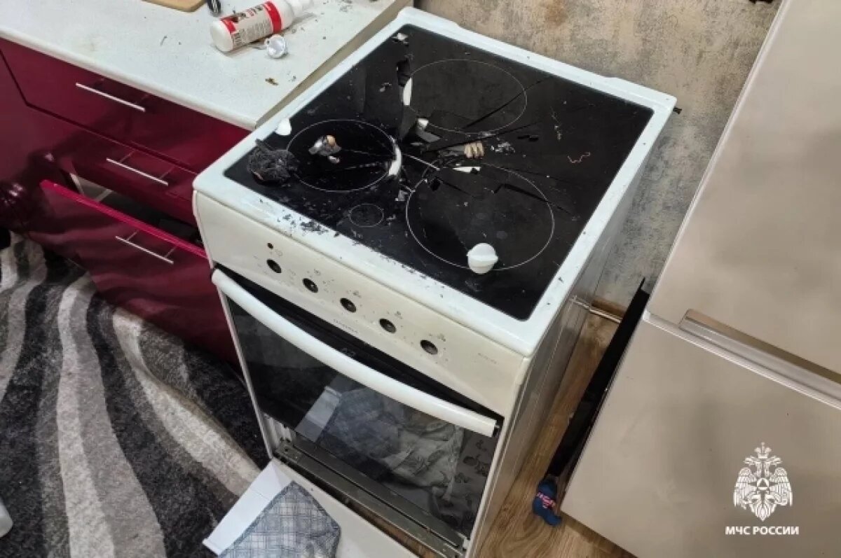    Собака устроила взрыв в квартире на Фадеева в Новосибирске