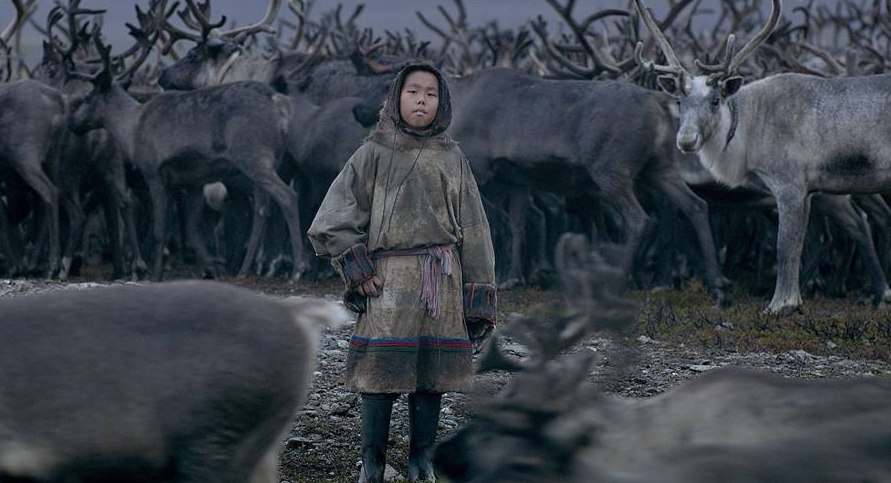 Кадр из фильма «Цинга». Источник: t.me/moy_prsk/9303