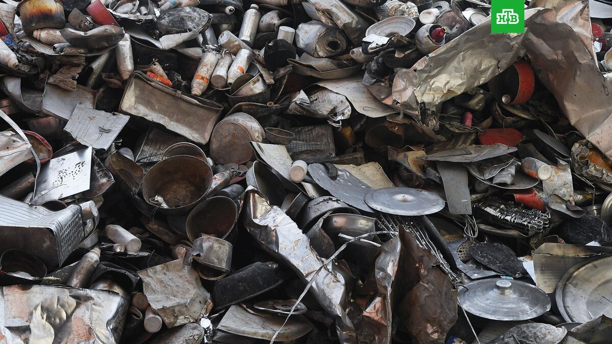    Фото: РИА Новости © 2025, Михаил Воскресенский