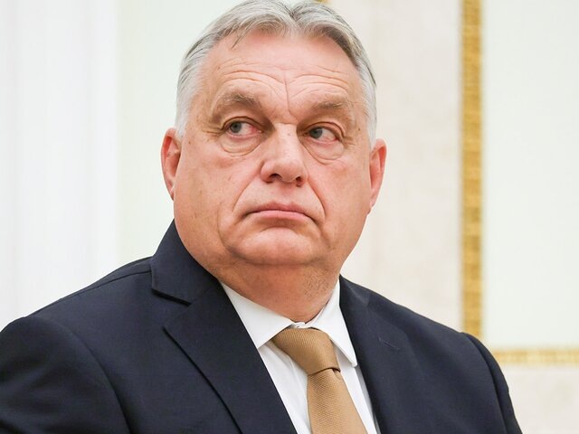    Фото: ТАСС/Владимир Гердо