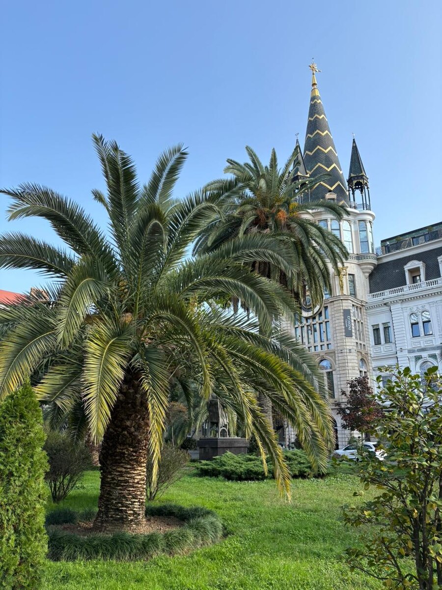 Пальмы рядом с площадью Европы