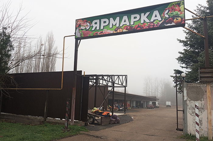 Фото Виолетты ГАВРИЛЕНКО.