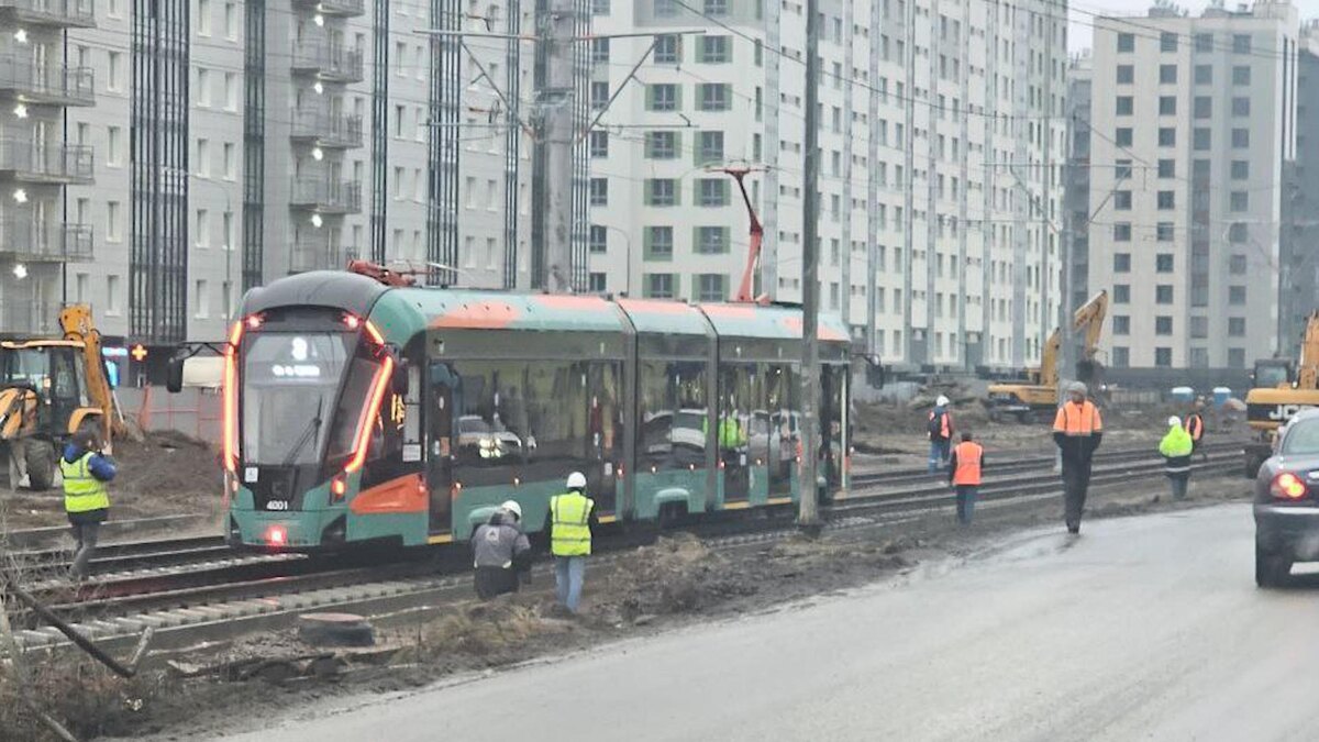    Фото: t.me/shushary_telegram