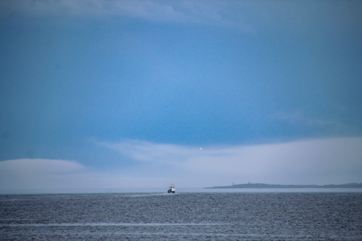 Чтобы оказаться на островах, нужно выбрать экскурсию на катере, или договориться с местными частными извозчиками, или взять каяк и уйти в самостоятельное плавание. Фото: Полина Воронова