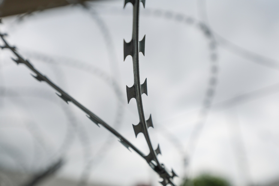    Алексей Белкин/NEWS.ru