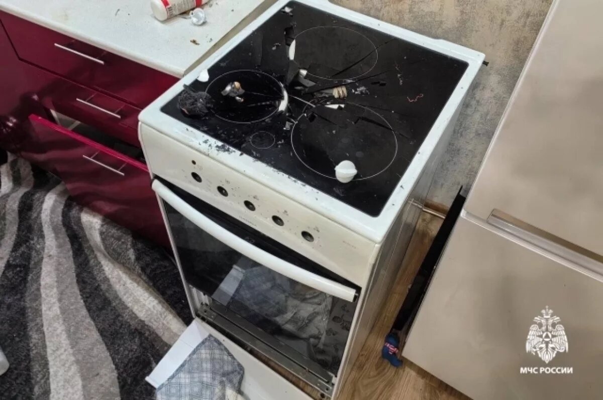    Пес в Новосибирске включил плиту и устроил взрыв дихлофоса