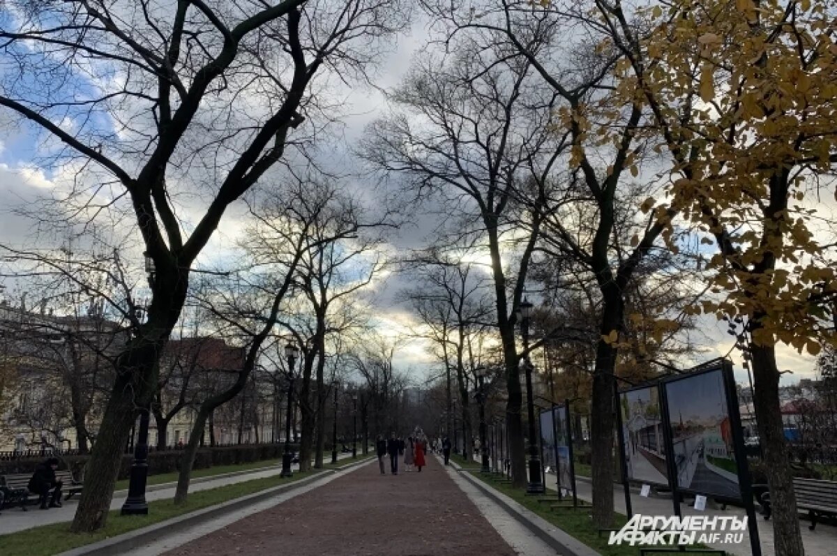    Ильин: в декабре в Москве будет аномальная для зимы плюсовая температура