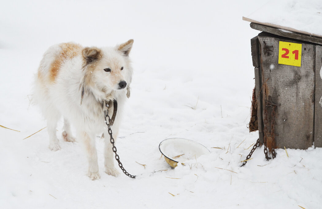 
фото из архива автора