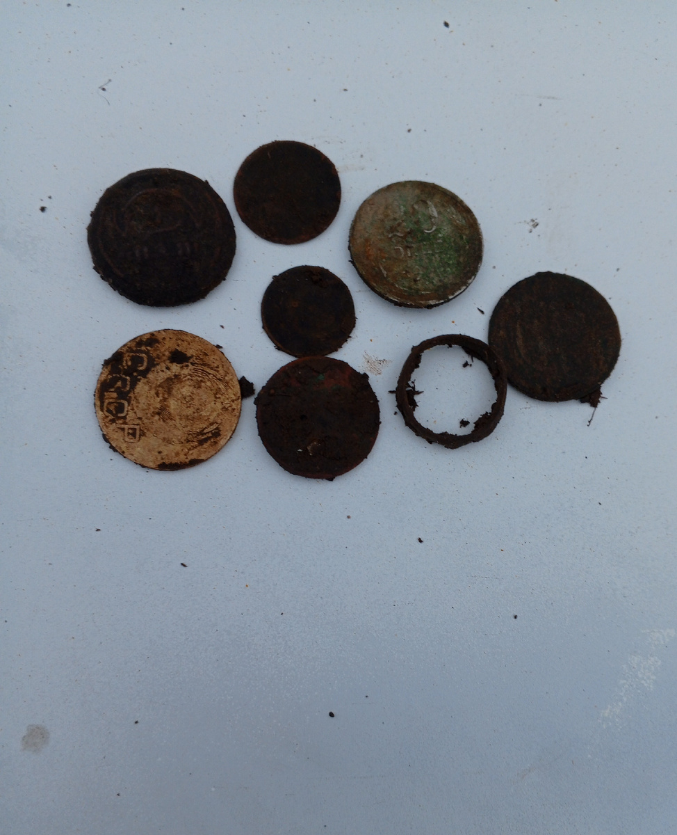 Монеты и колечко с поля.