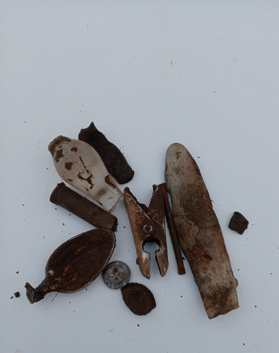 Сопутка с поля.