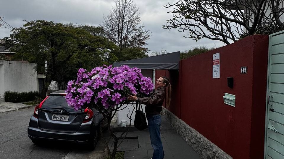 Как учить слова, чтобы они не вылетали из головы назавтра