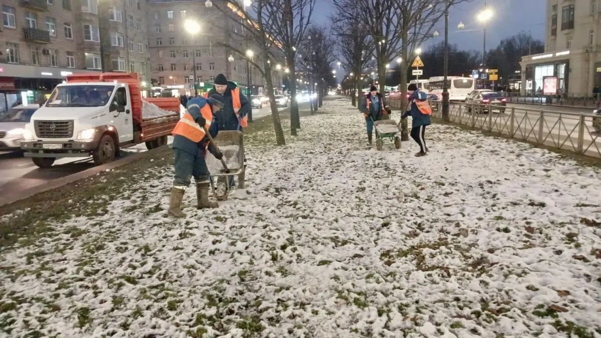   Фото: комитет по благоустройству Петербурга