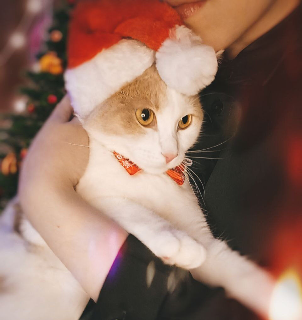 Глядите, как я красив!