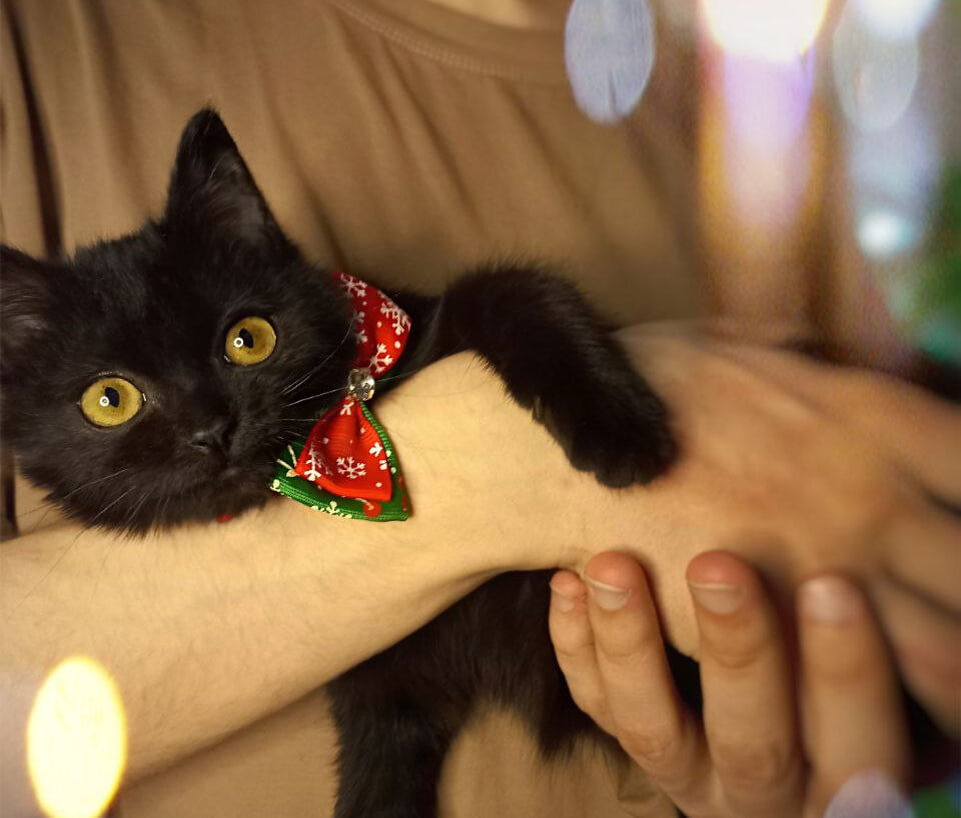 Самый первый новый год моего братца.