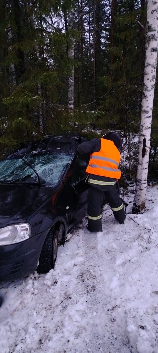    Фото: Госкомитет Карелии по безопасности / Telegram