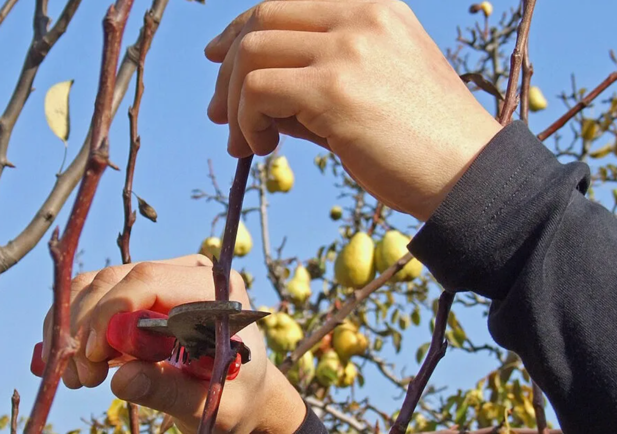 Источник фото: profile.ru