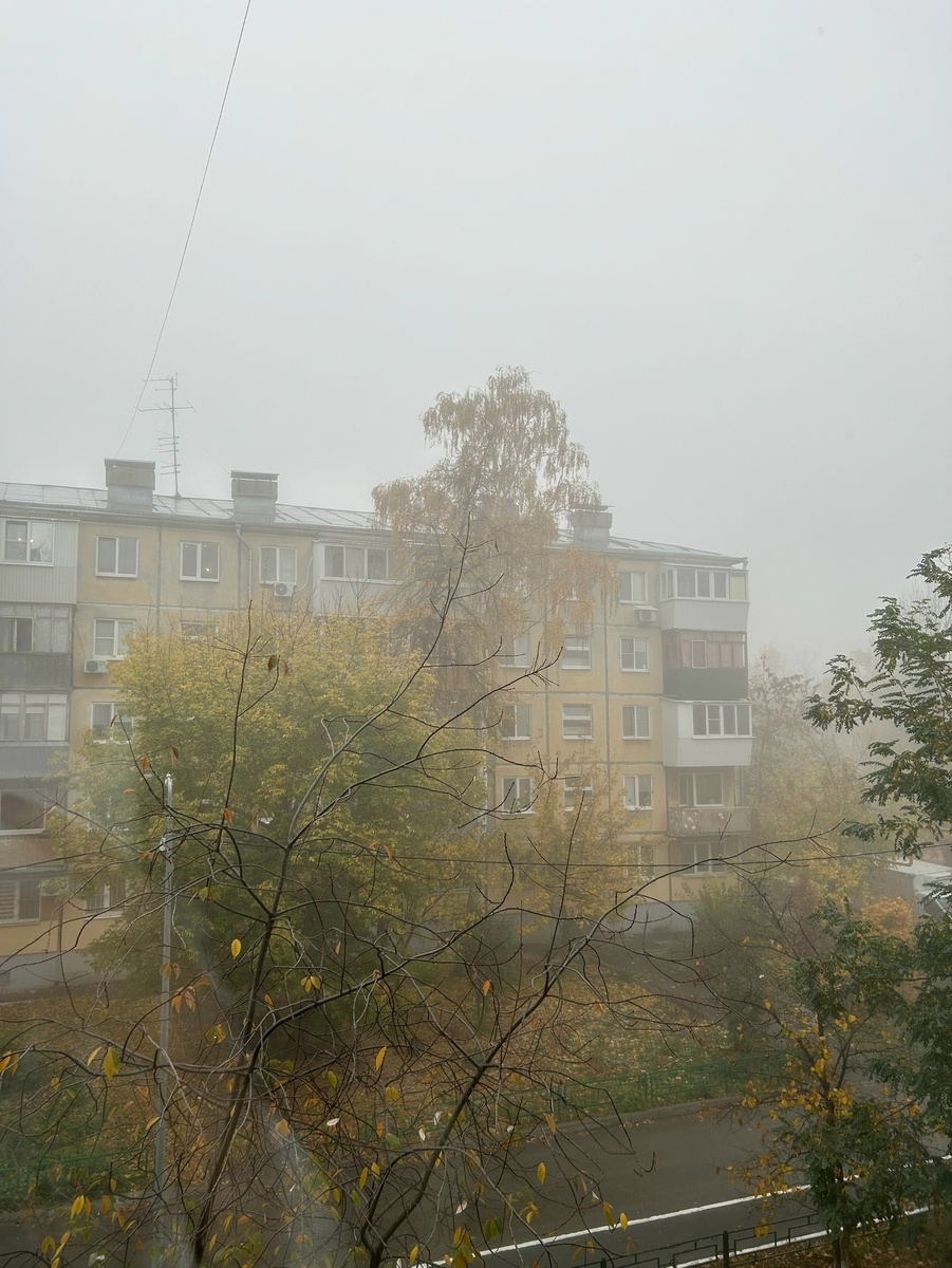    Фото: Анастасия Максименко