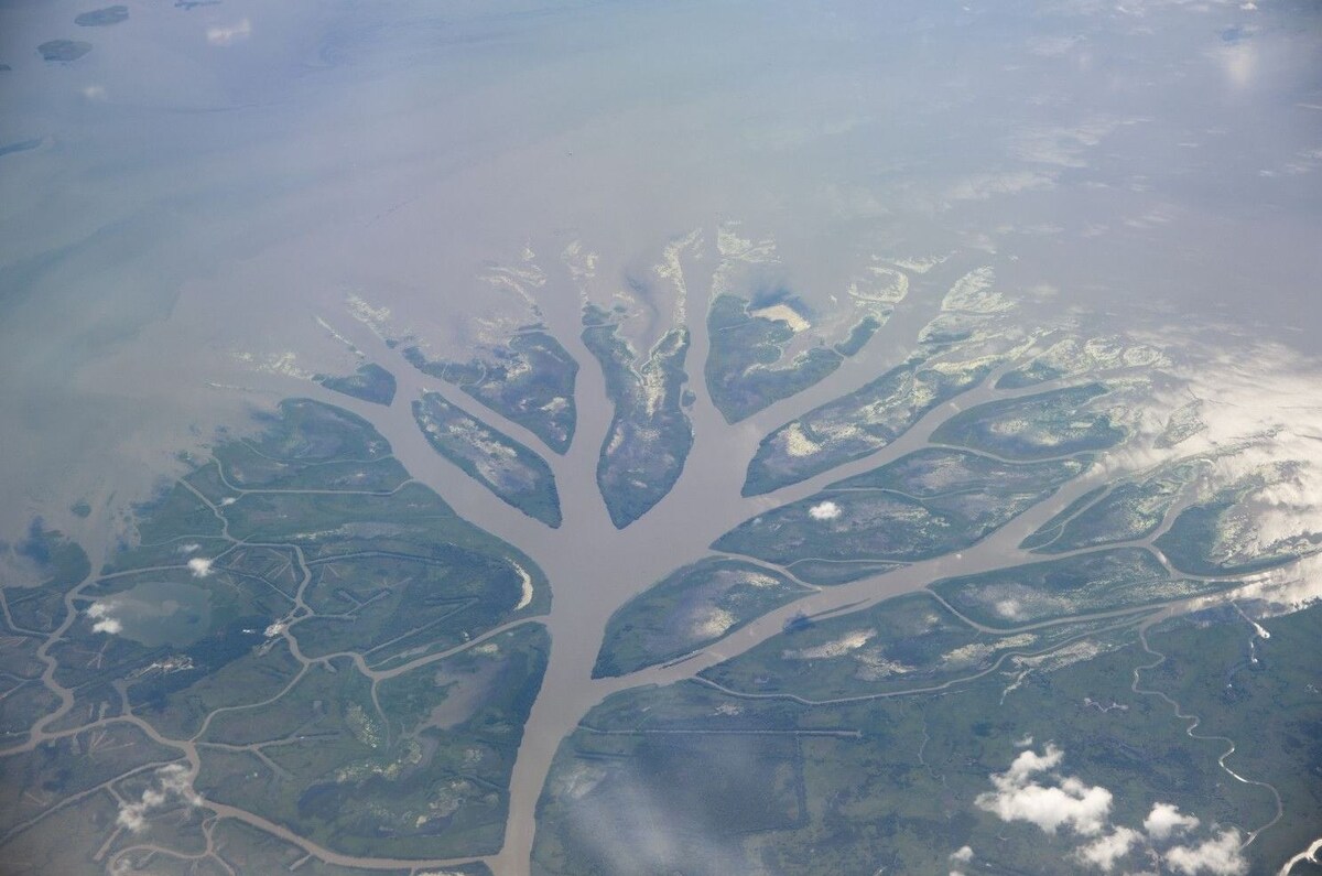 Речная дельта