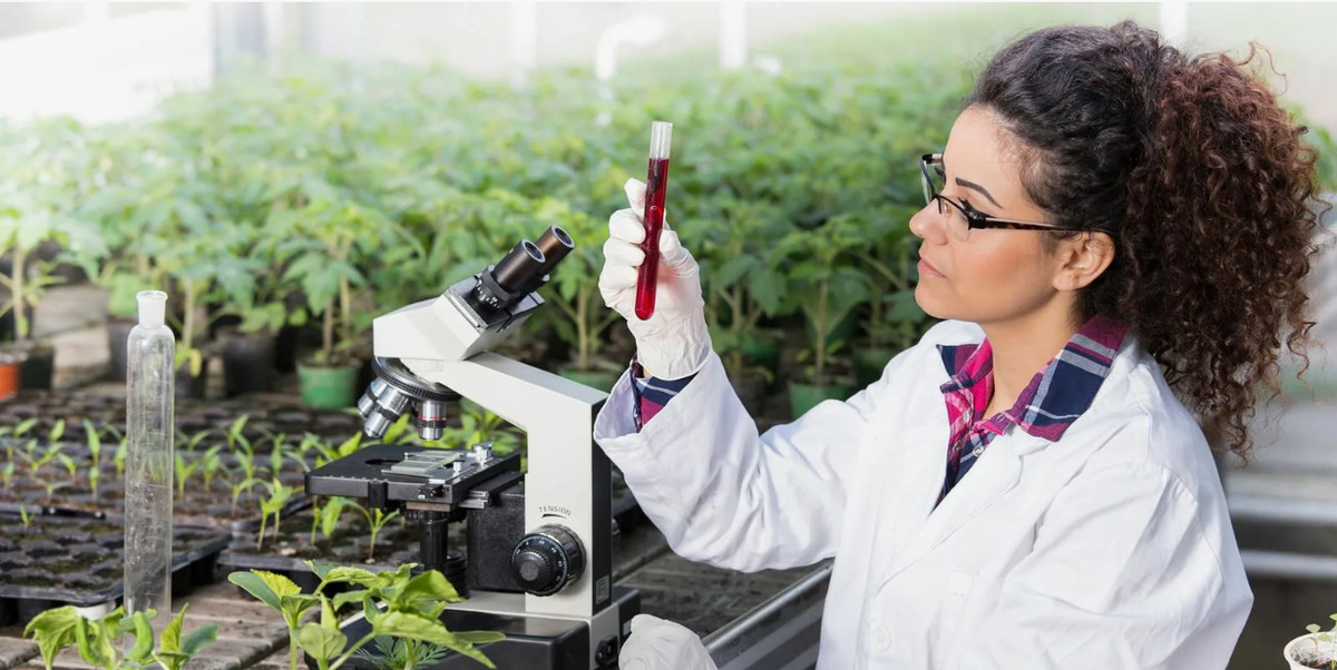 Картинка из общего доступа