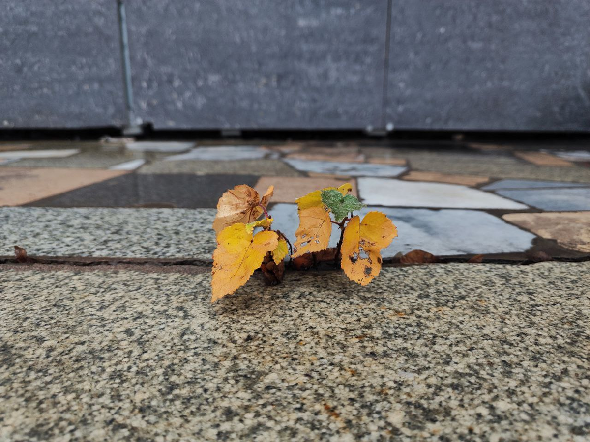 Фото автора.