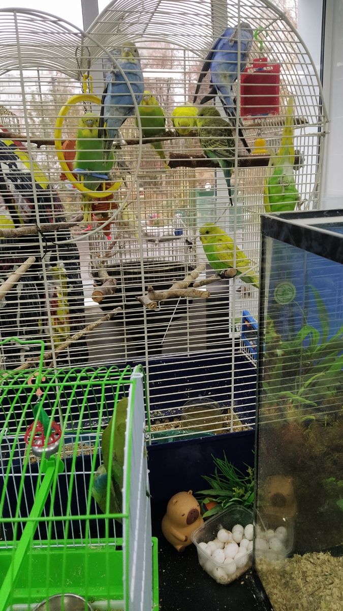 Обратите внимание на содержимое пластикового контейнера на столе.