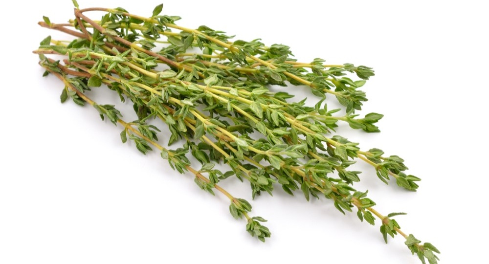 Чабрец (тимьян): новые научные данные, которые вас точно удивят