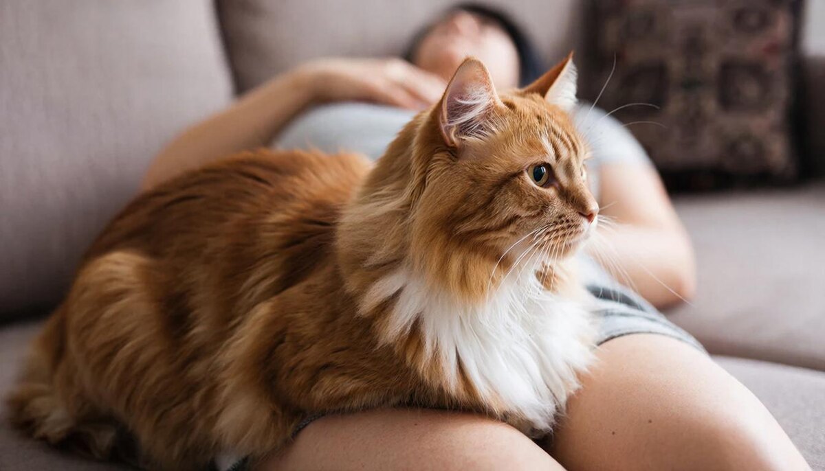 Мой успокоитель