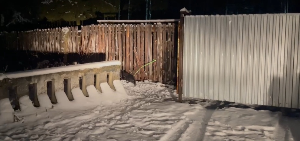 Неожиданная встреча .