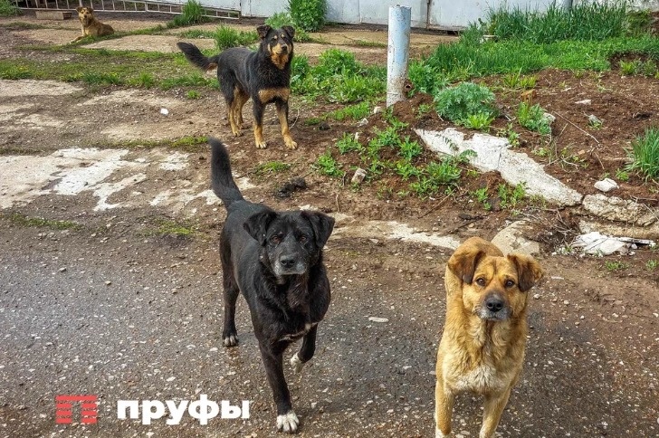    Фото: Пруфы