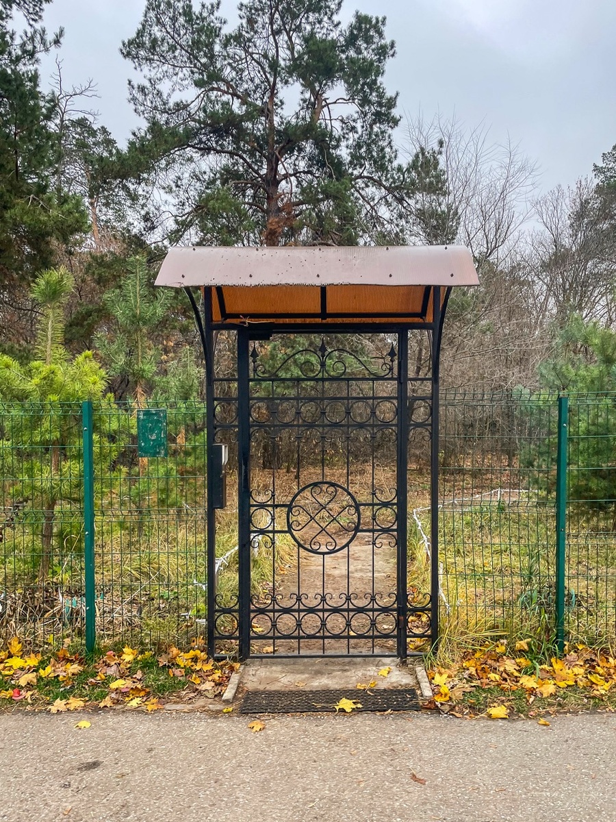 Осенний лем в ЖК Прилесье, Тольятти