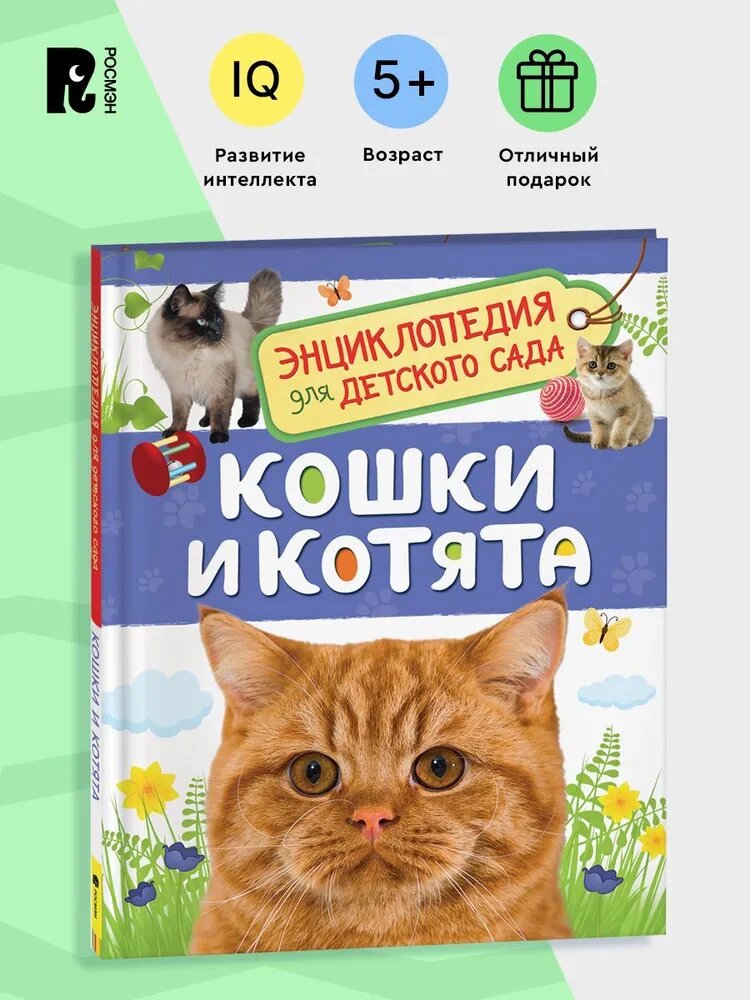 Малышам прекрасно подойдут книги из серии "Энциклопедия для детского сада"-они небольшие, в них много иллюстраций и есть варианты под конкретные интересы ребенка: про животных, про технику, про космос, про тело человека и т.д.