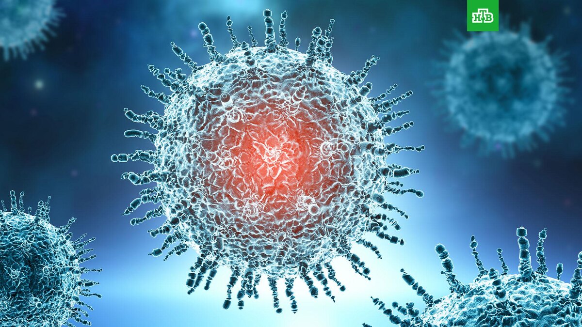    Фото: freepik.com