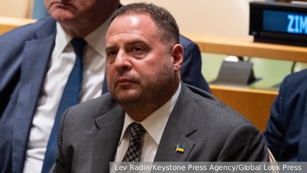     Фото: Lev Radin/Keystone Press Agency/Global Look Press   
 Текст: Вера Басилая