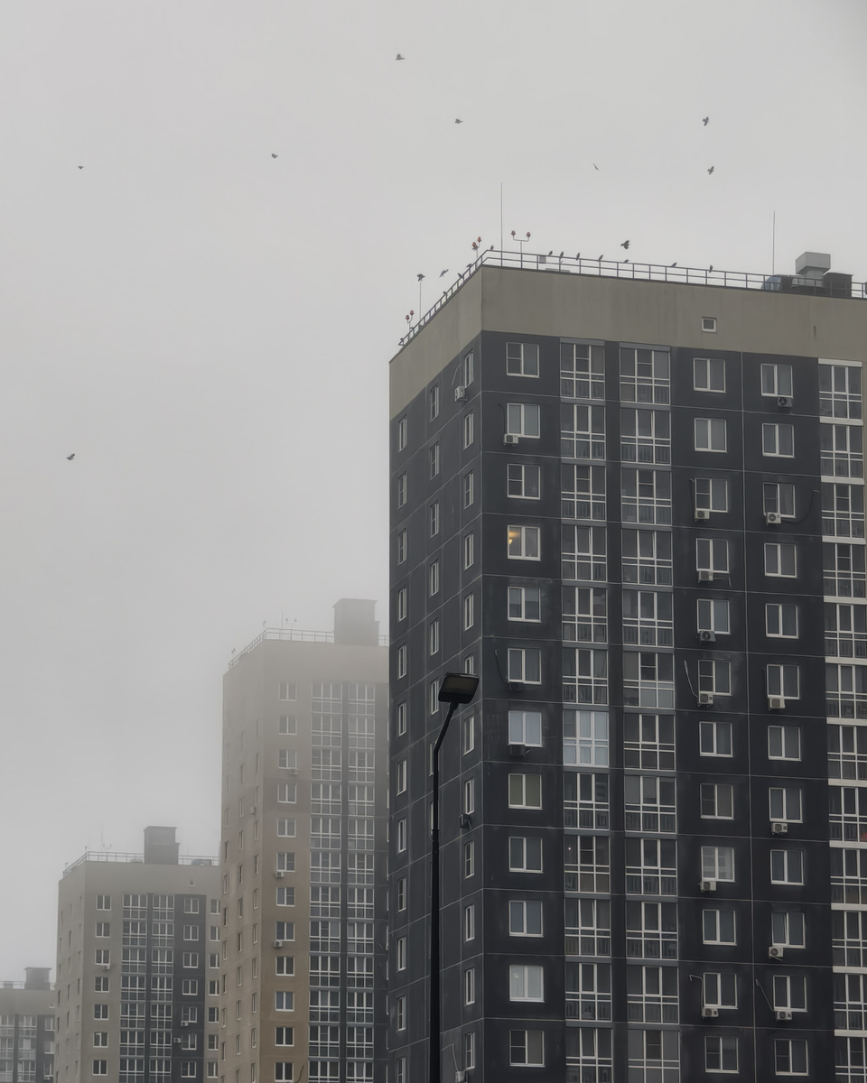 Силуэты птиц парят над размытыми домами, добавляя жизни статичному туману. Они в небе — единственное движение в этом приглушённом пейзаже.