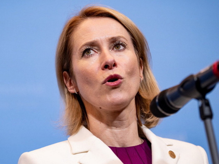 Фото: Fabian Sommer/dpa/Global Look Press
