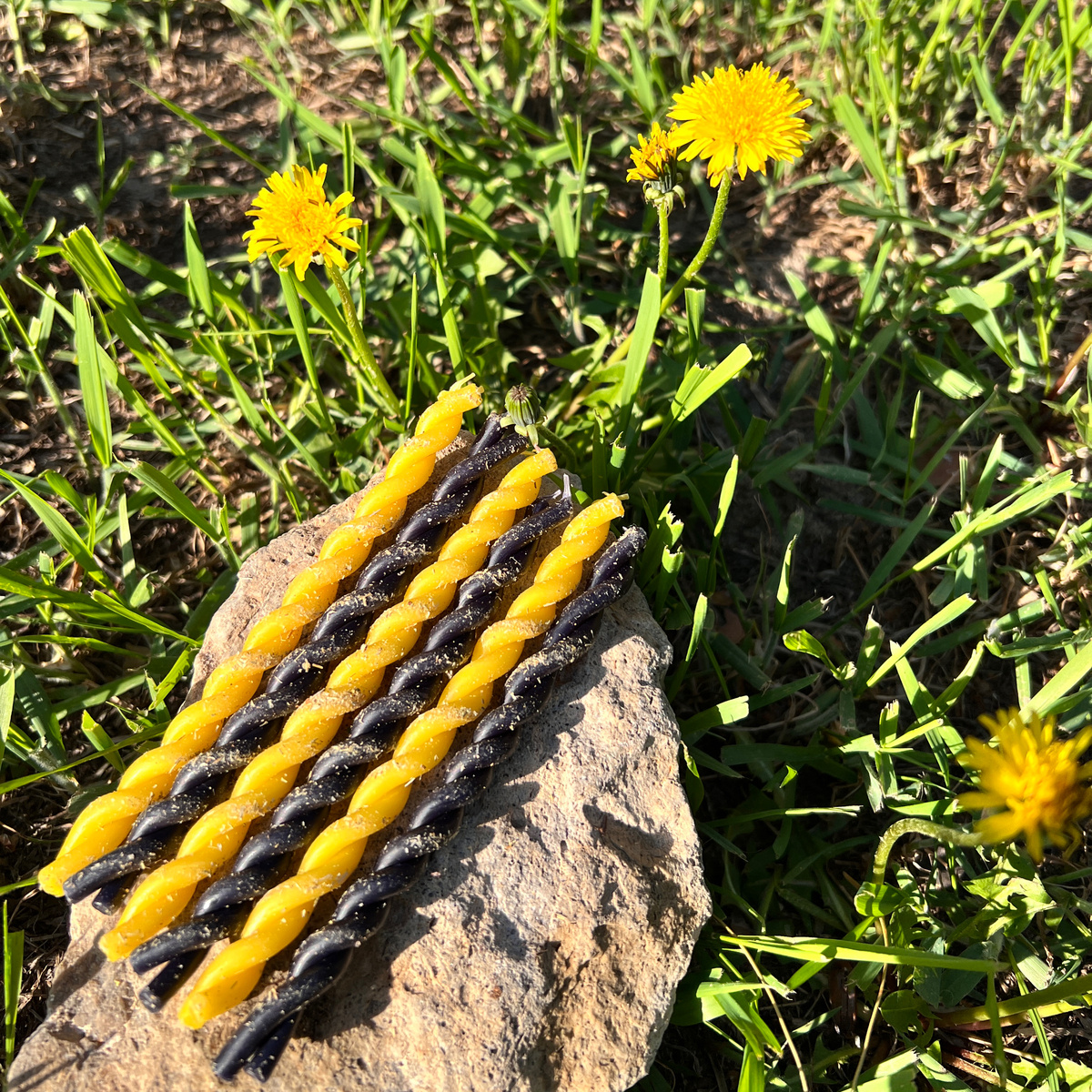 Личное фото автора