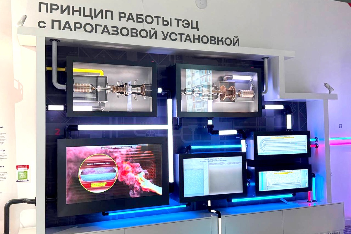     Фото: Елизавета Бабичева