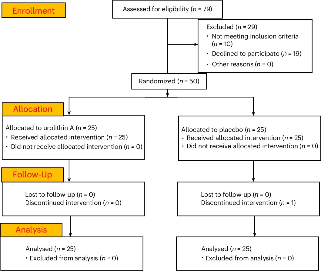 Испытание MitoImmune представляло собой одноцентровое, рандомизированное, двойное слепое, плацебо-контролируемое, инициированное исследователем интервенционное исследование, проведенное с участием здоровых взрослых в возрасте 45–70 лет. Пятьдесят участников ( n  = 50) соответствовали критериям включения и исключения и впоследствии были включены в исследование, а затем рандомизированы в группы ежедневного приема однократной дозы (1000 мг) УК или плацебо в зависимости от возраста, пола и ИМТ в соотношении 1:1. Общая продолжительность исследования составила 28 дней. Один участник не завершил прием назначенного исследуемого продукта ( n  = 1 выбывший), но предоставил образцы для анализа конечной точки. Поэтому ни один участник не был исключен из окончательного анализа. Сорок девять участников сообщили о >90% соблюдении режима приема, что было оценено с помощью анкетирования и завершили запланированные визиты ( n  = 49).
