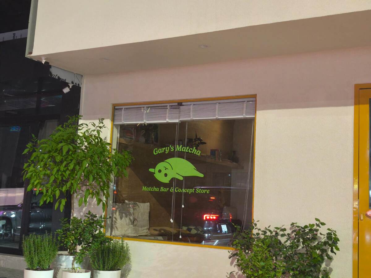 Милашная вывеска с котиком кафе в Кувейт Сити (фото из личного архива)