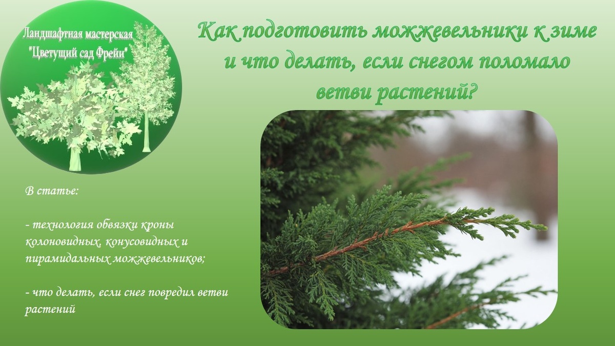 Фото автора с использованием изображения, созданного ИИ.