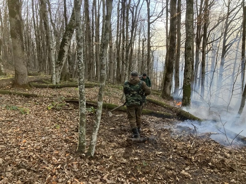    Фото: пресс-служба Краевого лесопожарного центра