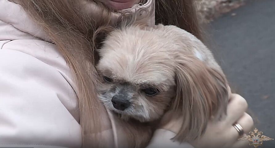    Пресс-служба МВД