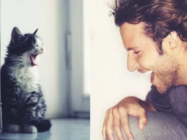 К чему может привести то, что человек постоянно разговаривает со своей кошкой