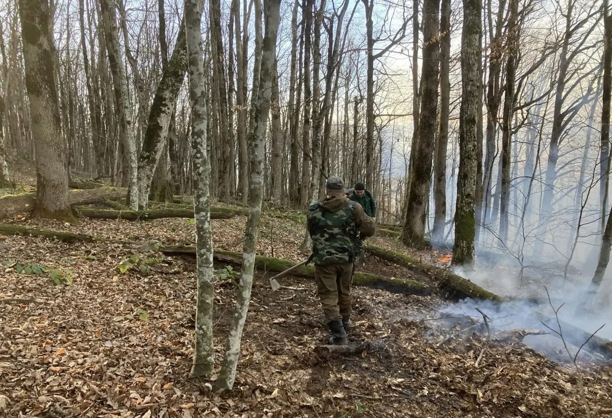    Фото t.me/krd_klpc