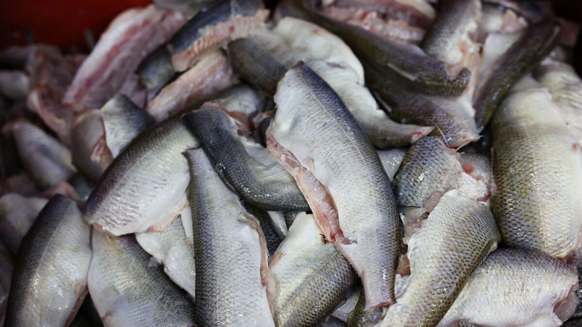    Фото: Андрей Ткачев/«Ямал-Медиа»