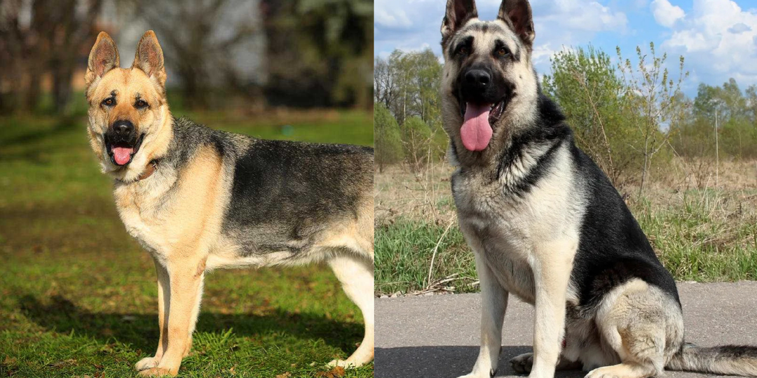 10 фактов, после которых у вас полностью изменится представление о ВЕО