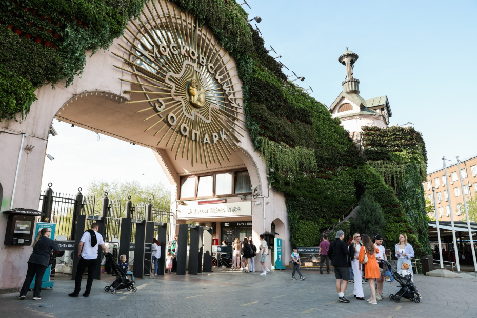    Софья Сандурская/ТАСС