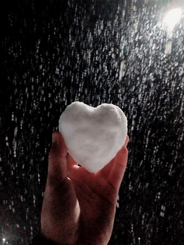    фото: Сергей Тарасенко "Веселовские вести" Веселовские вести