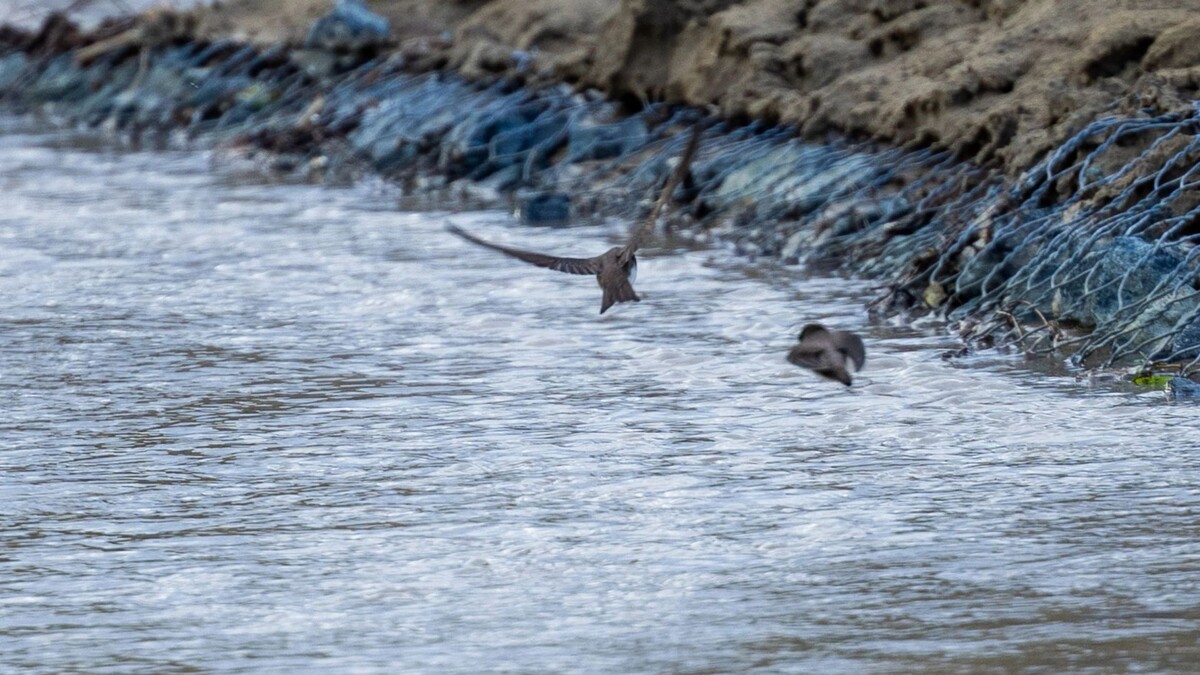   Фото: Федор Воронов / «Ямал-Медиа»